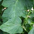 159901_20171108093031_01.JPG