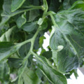 159901_20171108093128_01.JPG