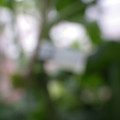 159901_20171108093155_01.JPG
