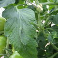 159901_20171108093217_01.JPG