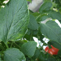 159901_20171108093255_01.JPG