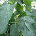 159901_20171108093542_01.JPG