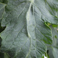 159901_20171108093547_01.JPG