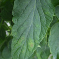 159901_20171108093641_01.JPG