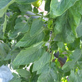 159901_20171115105822_01.JPG