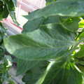 159901_20171115105855_01.JPG
