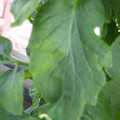 159901_20171115105944_01.JPG