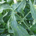 159901_20171115110145_01.JPG