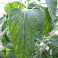 159901_20171115110213_01.JPG