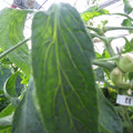 159901_20171115110346_01.JPG
