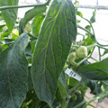 159901_20171115110350_01.JPG