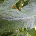 159901_20171122102602_01.JPG