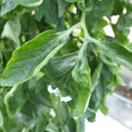 159901_20171122102715_01.JPG