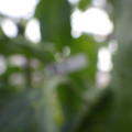 159901_20171122102958_01.JPG