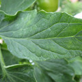 159901_20171122103026_01.JPG