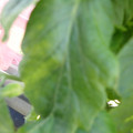 159901_20171128112925_01.JPG