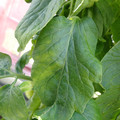 159901_20171128112927_01.JPG