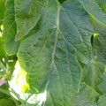 159901_20171128113745_01.JPG