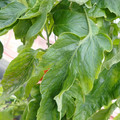 159901_20171213113350_01.JPG