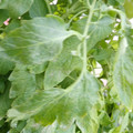 159901_20171215134922_01.JPG