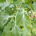 159901_20171215134925_04.JPG