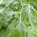 159901_20171215134926_01.JPG