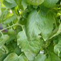 159901_20171215134936_03.JPG