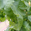 159901_20171215134948_01.JPG