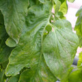 159901_20171215134952_01.JPG