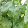 159901_20171215134954_03.JPG