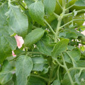 159901_20171215135012_01.JPG