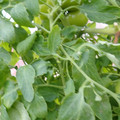 159901_20171215135015_01.JPG