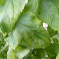 159901_20171215135039_01.JPG