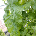 159901_20171215135059_01.JPG