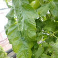 159901_20171215135059_02.JPG