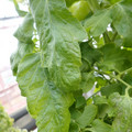 159901_20171215135059_03.JPG