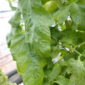 159901_20171215135059_04.JPG