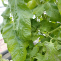 159901_20171215135100_01.JPG