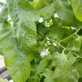 159901_20171215135100_02.JPG