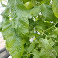 159901_20171215135101_01.JPG