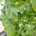 159901_20171215135101_02.JPG