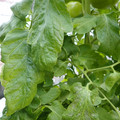 159901_20171215135104_01.JPG