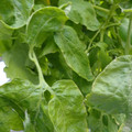 159901_20171215135108_01.JPG