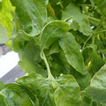 159901_20171215135109_04.JPG