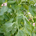 159901_20171215135135_03.JPG