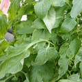 159901_20171215135140_01.JPG