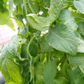 159901_20171215135149_01.JPG
