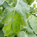 159901_20171215135156_01.JPG