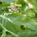 159901_20171215135201_03.JPG