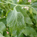 159901_20171215135203_01.JPG